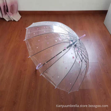 Long Handle Umbrella In Transparent POE Fabric
